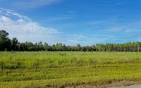 TBD SE Family Rd, Lake City, FL 32025