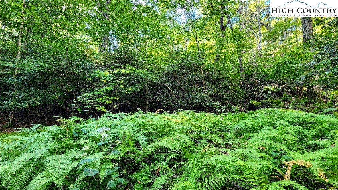 Lot 2 Sunset Way, Banner Elk, NC 28604