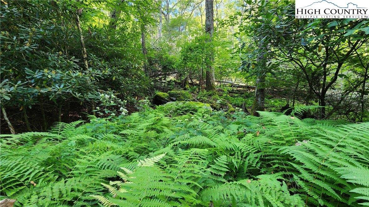 Lot 2 Sunset Way, Banner Elk, NC 28604