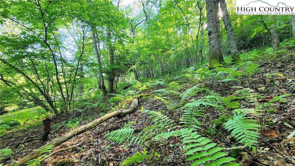 Lot 2 Sunset Way, Banner Elk, NC 28604