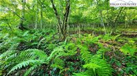 Lot 2 Sunset Way, Banner Elk, NC 28604