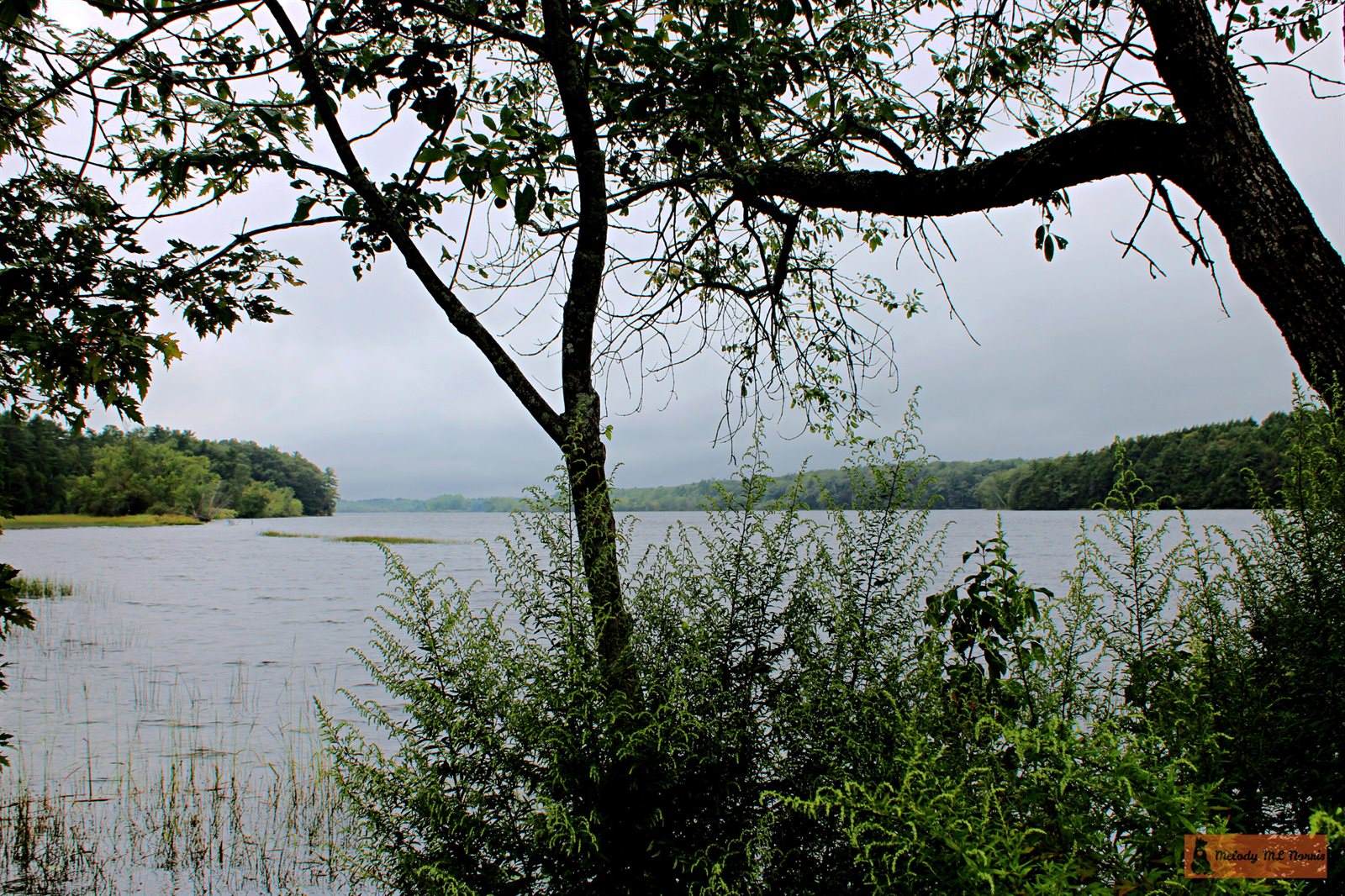 30 Franklin Parkway, Brunswick, ME 04011