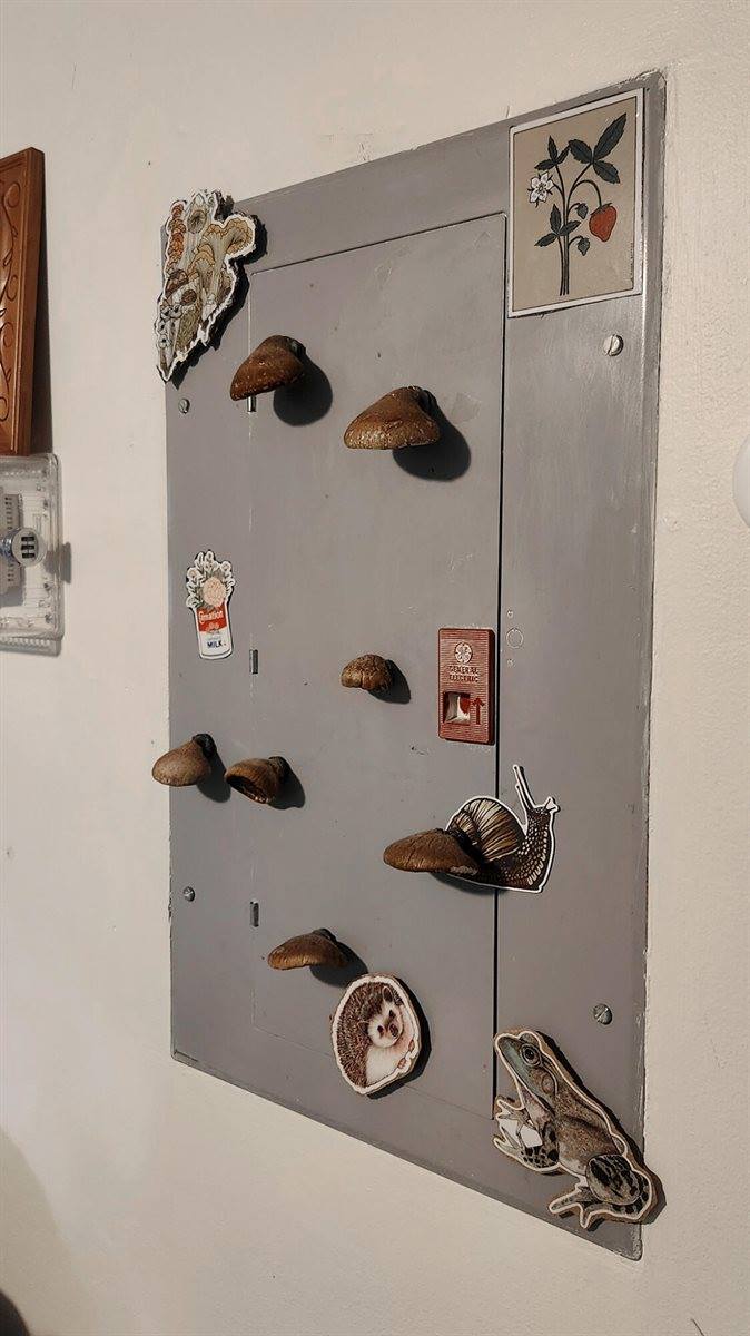 114 &116.5 Elm Street, Bangor, ME 04401