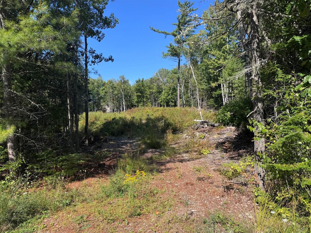 Lot 25 Pinetree Road, Brewer, ME 04412