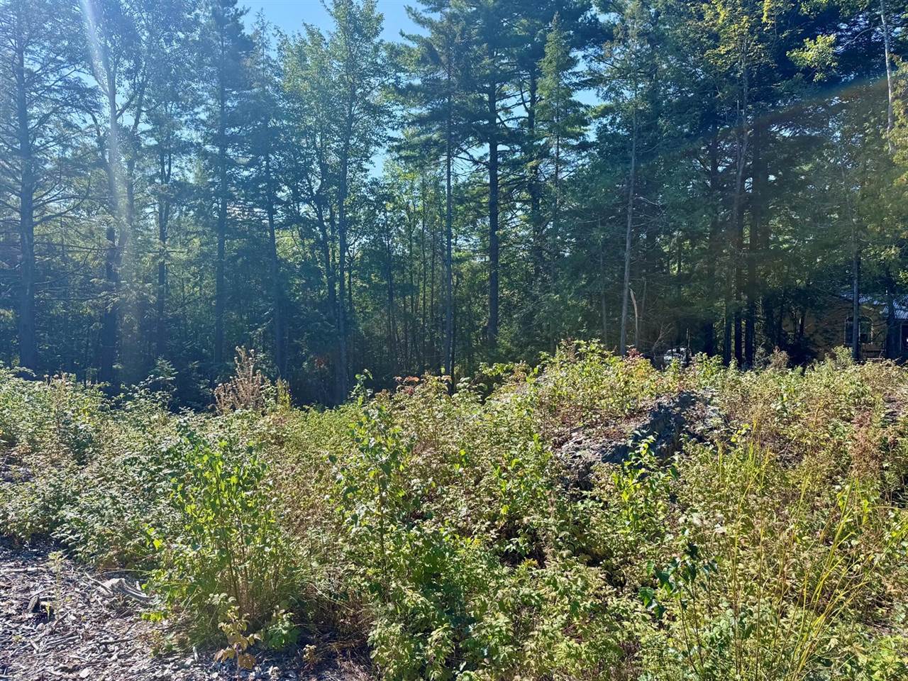 Lot 25 Pinetree Road, Brewer, ME 04412