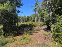 Lot 25 Pinetree Road, Brewer, ME 04412
