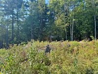 Lot 25 Pinetree Road, Brewer, ME 04412