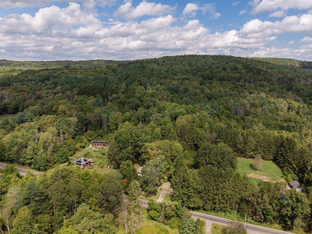 674 Cafferty Hill Rd, Endicott, NY 13760