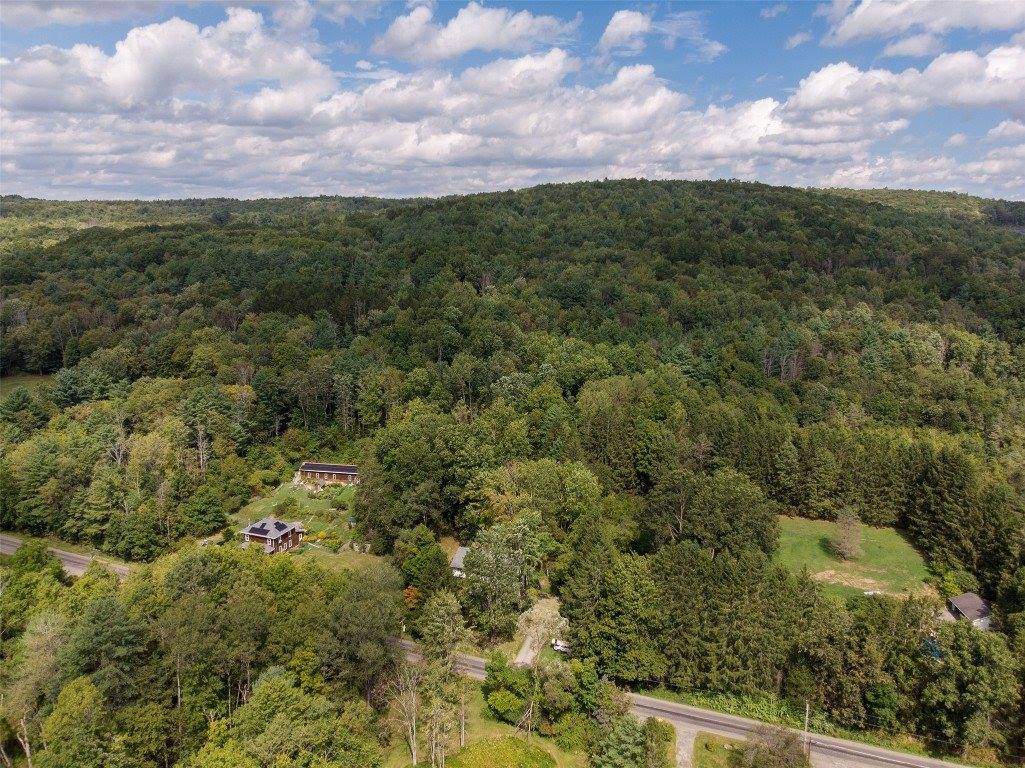 674 Cafferty Hill Rd, Endicott, NY 13760