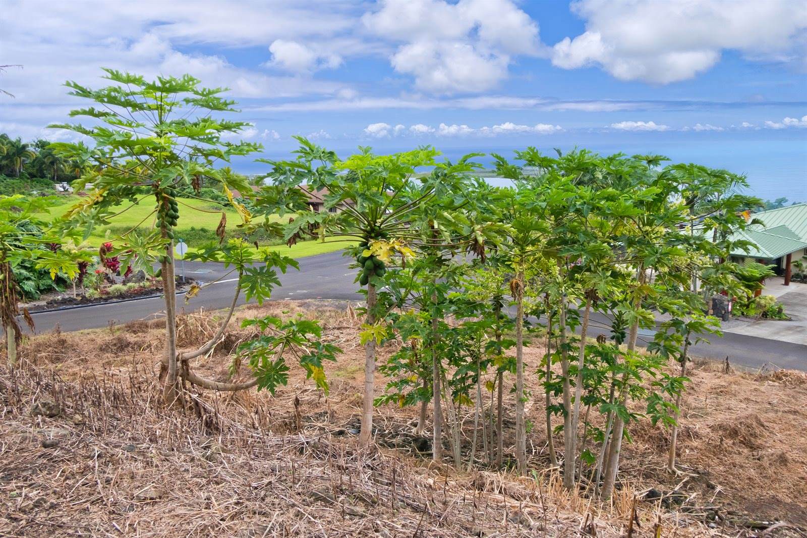 75-525 Nani Kailua Dr, Kailua-Kona, HI 96740