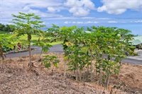 75-525 Nani Kailua Dr, Kailua-Kona, HI 96740