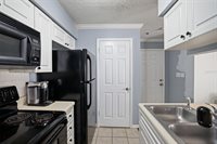 1000 West Horatio Street, Tampa, FL 33606