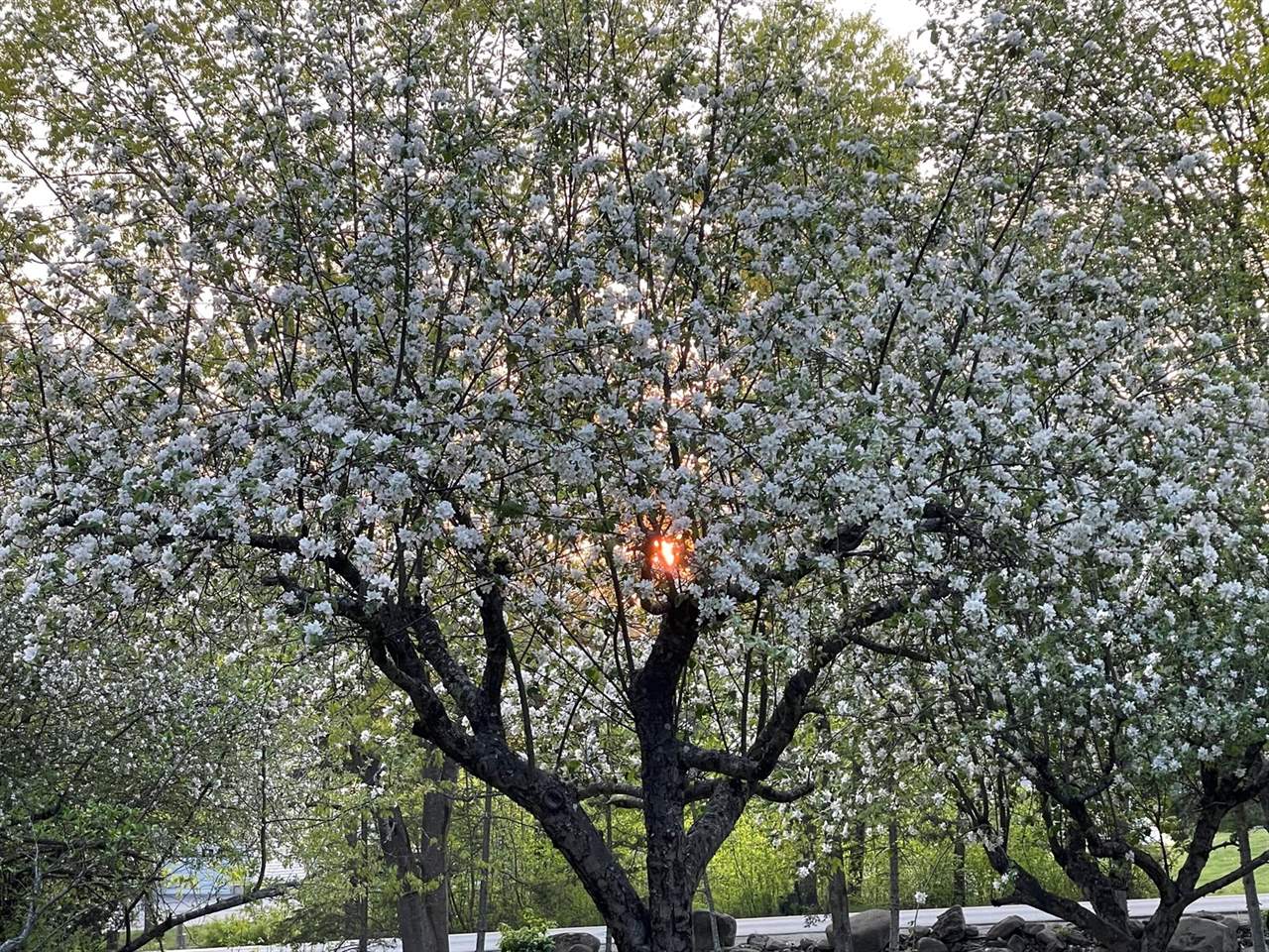 415 Monroe Road, Hampden, ME 04444