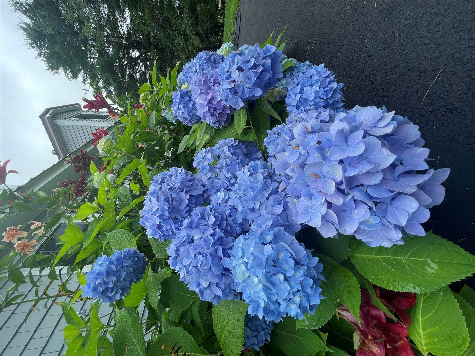 415 Monroe Road, Hampden, ME 04444