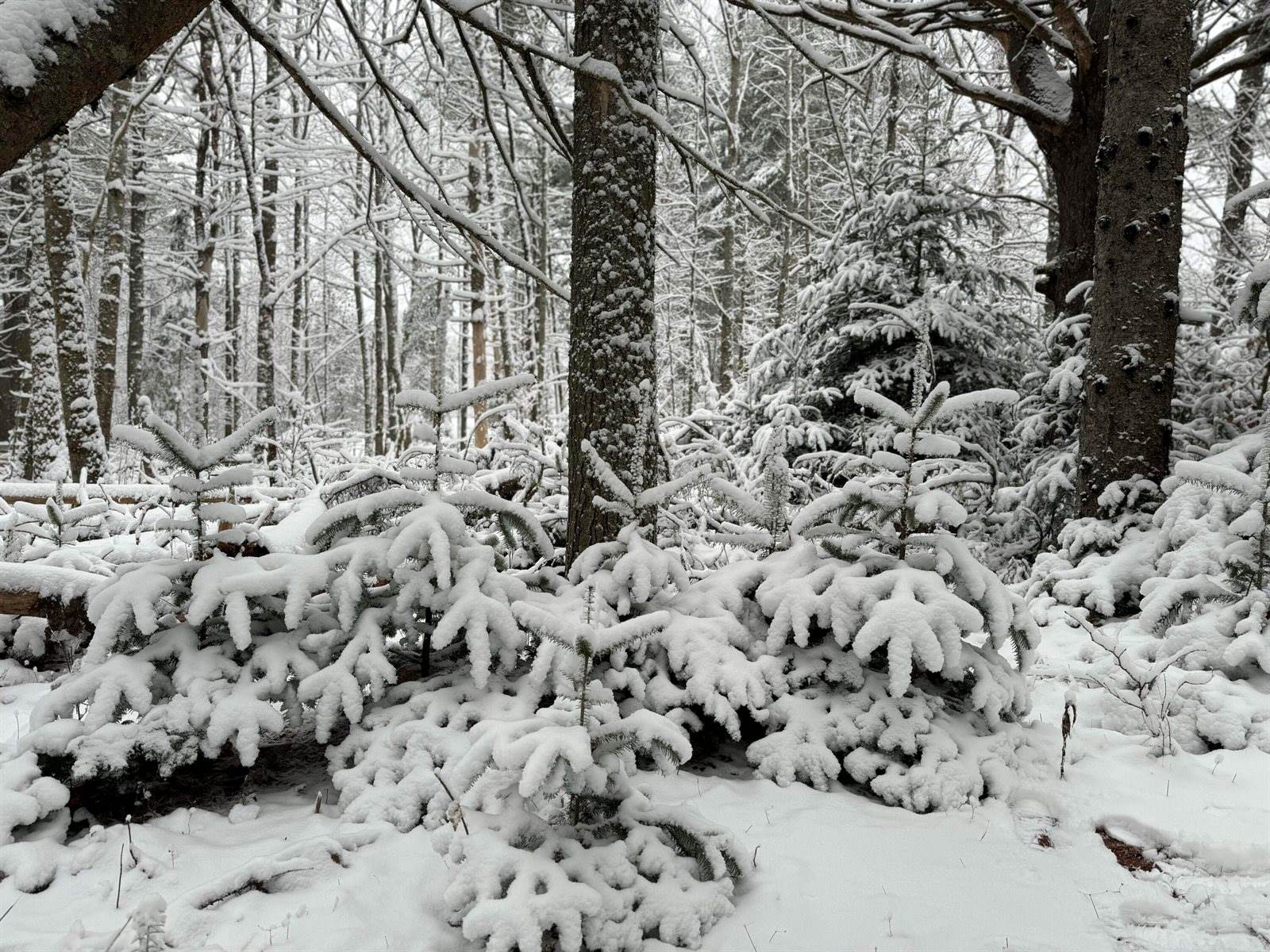 415 Monroe Road, Hampden, ME 04444