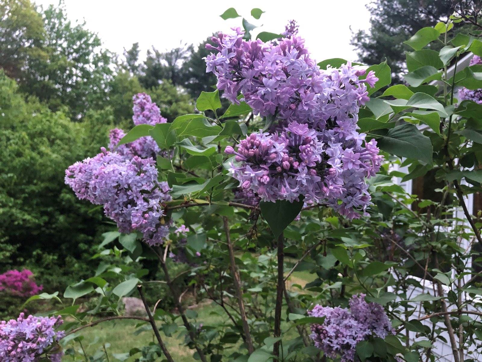 415 Monroe Road, Hampden, ME 04444