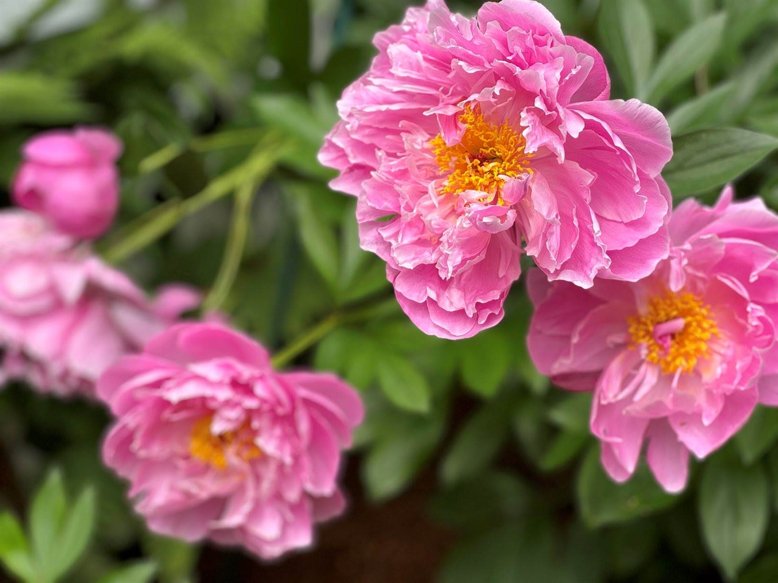 415 Monroe Road, Hampden, ME 04444