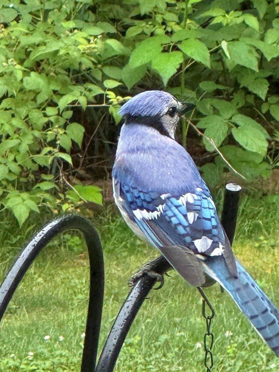 415 Monroe Road, Hampden, ME 04444