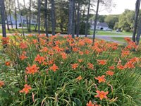 415 Monroe Road, Hampden, ME 04444