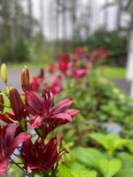 415 Monroe Road, Hampden, ME 04444