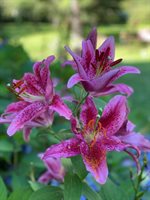 415 Monroe Road, Hampden, ME 04444