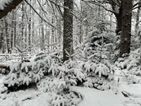 415 Monroe Road, Hampden, ME 04444