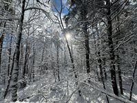 415 Monroe Road, Hampden, ME 04444