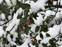 415 Monroe Road, Hampden, ME 04444