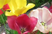 415 Monroe Road, Hampden, ME 04444