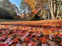 415 Monroe Road, Hampden, ME 04444