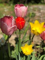 415 Monroe Road, Hampden, ME 04444