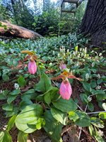 415 Monroe Road, Hampden, ME 04444