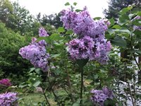 415 Monroe Road, Hampden, ME 04444