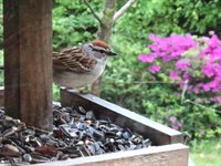 415 Monroe Road, Hampden, ME 04444