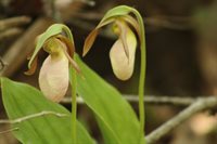 415 Monroe Road, Hampden, ME 04444