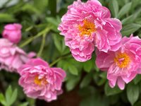 415 Monroe Road, Hampden, ME 04444