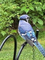 415 Monroe Road, Hampden, ME 04444