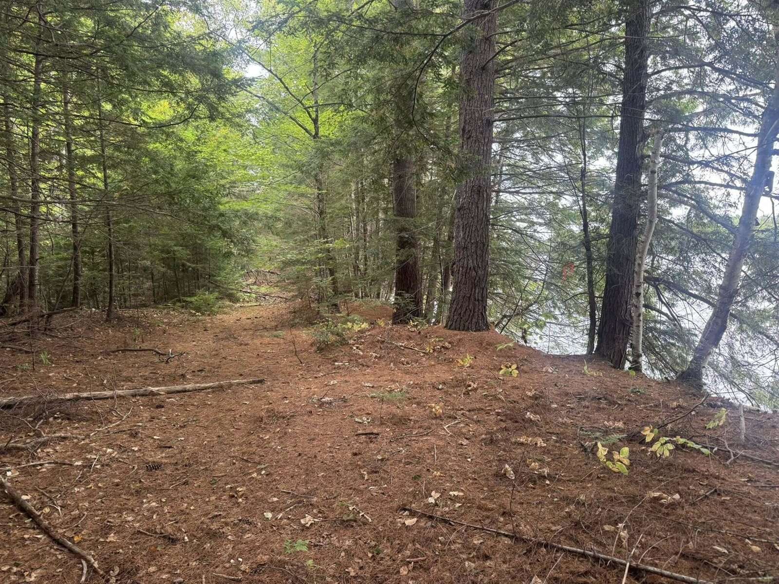 R08 L028 Gardner Lane, Howland, ME 04448