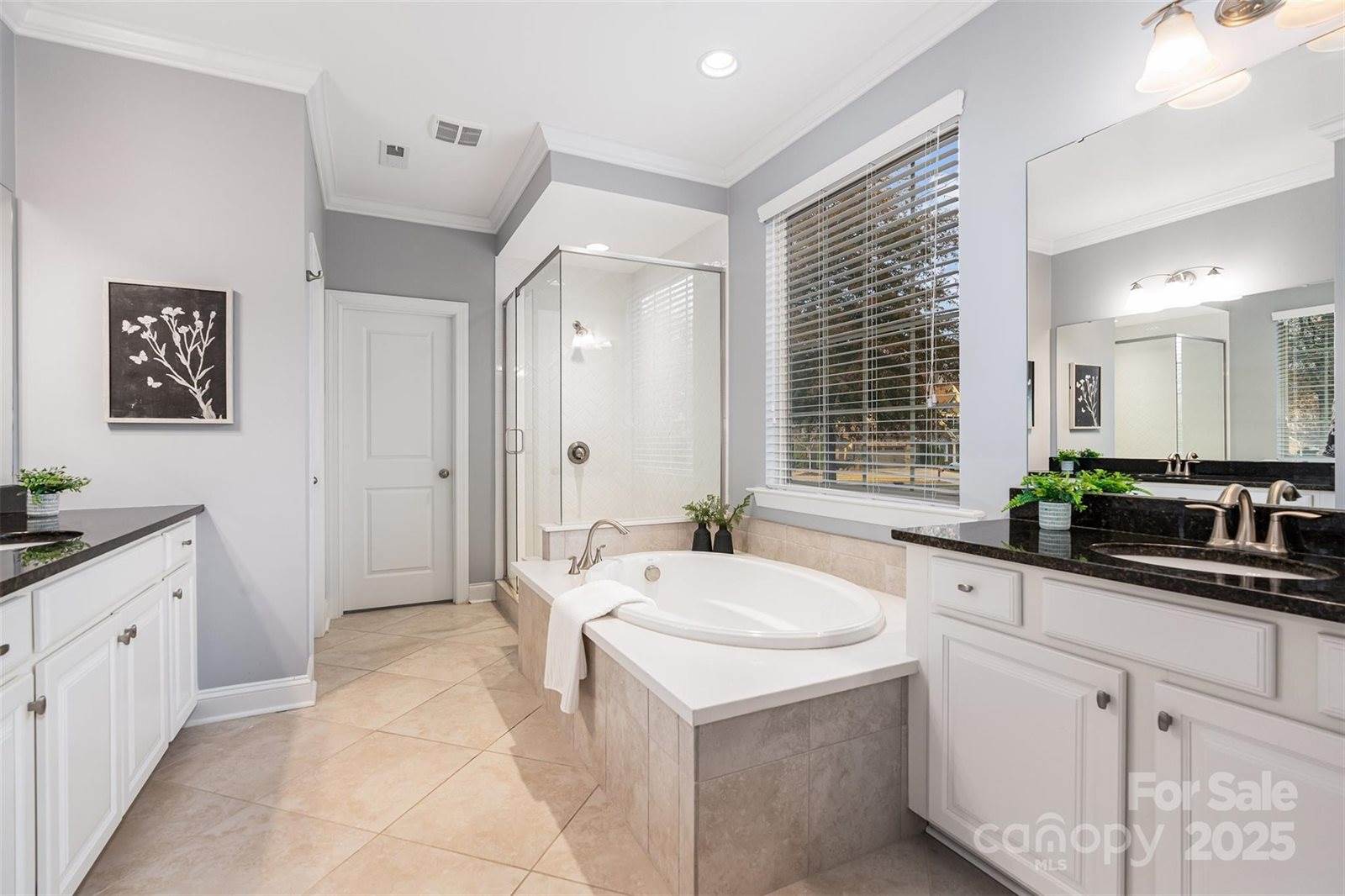 13203 Horned Lark Drive, Charlotte, NC 28278