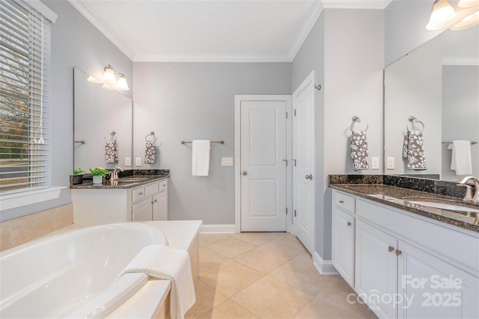 13203 Horned Lark Drive, Charlotte, NC 28278