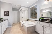 13203 Horned Lark Drive, Charlotte, NC 28278