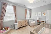 13203 Horned Lark Drive, Charlotte, NC 28278