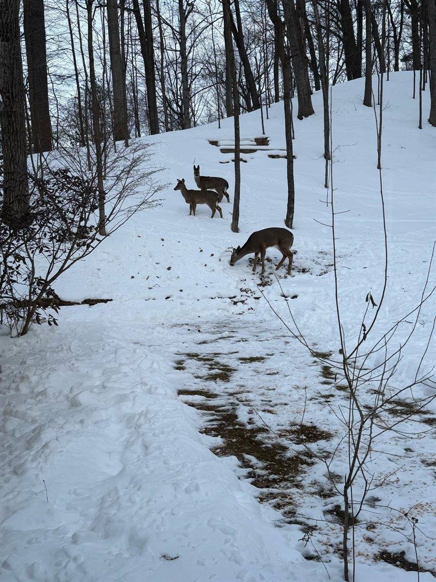 343 Swiss Hill Drive, Green Bay, WI 54302