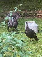 343 Swiss Hill Drive, Green Bay, WI 54302