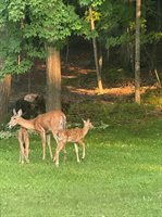 343 Swiss Hill Drive, Green Bay, WI 54302