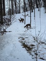 343 Swiss Hill Drive, Green Bay, WI 54302