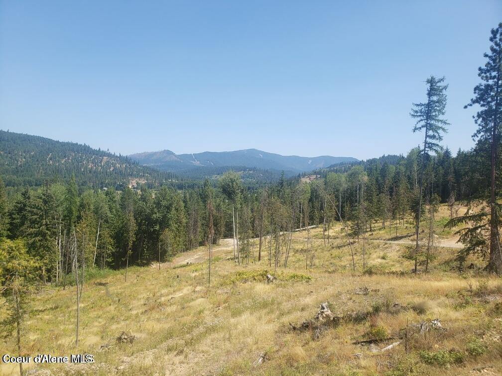 Lot 2 Of the Replat of Lot 2 Blk 1, Kingston, ID 83839