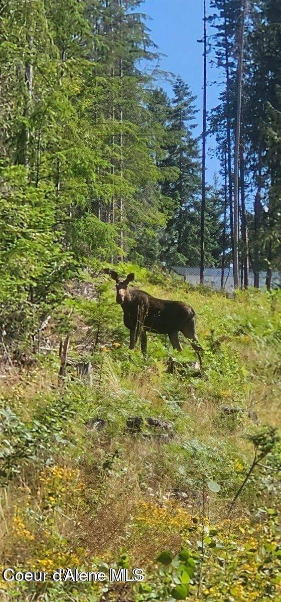 Lot 2 Of the Replat of Lot 2 Blk 1, Kingston, ID 83839