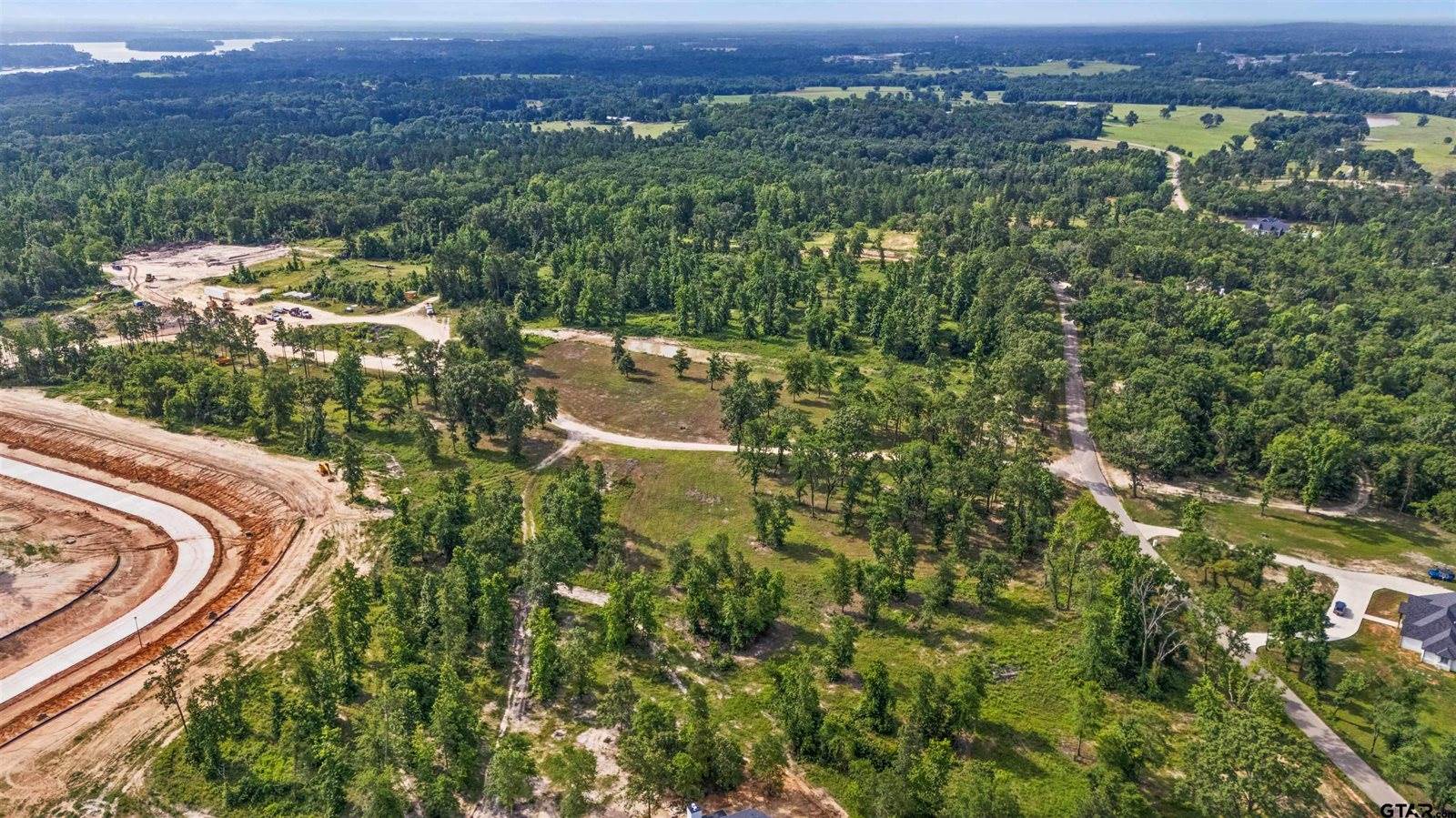 Lot 9 CR 2123, Whitehouse, TX 75791