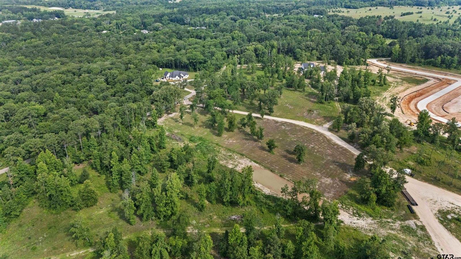 Lot 9 CR 2123, Whitehouse, TX 75791